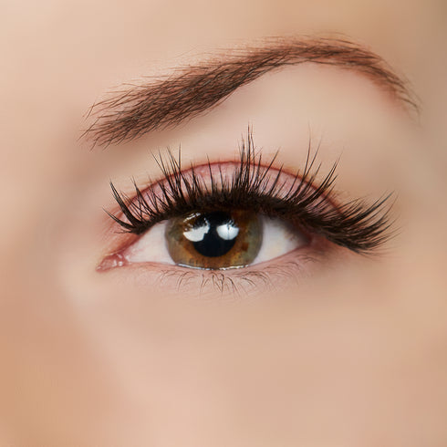 A Touch of Heaven Lash Style & Aloe Infused Glue Bundle - 25x Wear by True Beauty Lashes